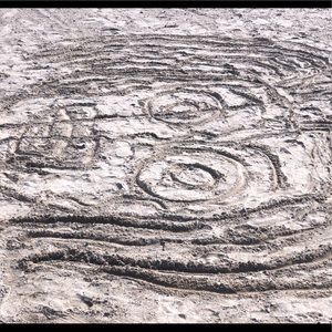 Meet your Posher, Demitrius